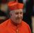 Cardenal Francisco Javier Errázuriz Ossa, ISch., (+)