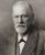 Sigismund Schlomo Freud, (+)